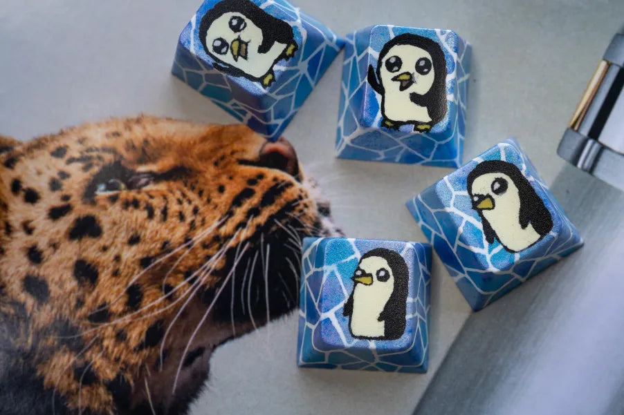 Gunter Blank