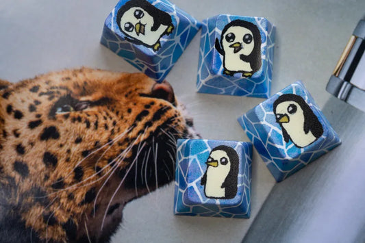 Gunter Blank